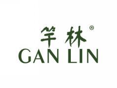 标哆哆商标转让网_竿林GANLIN